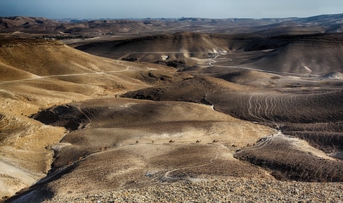 ישראל, ערבה. צילום: אילוסטרציה