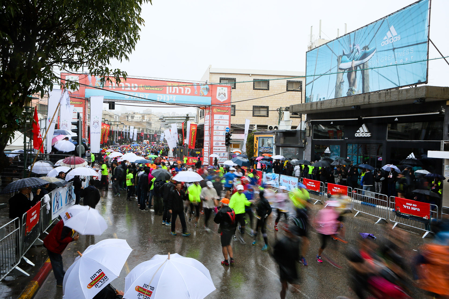 מרתון טבריה Winner הבינלאומי, המוכר בעולם כ-Sea of Galilee Marathon , חוגג כבר 40 שנה ברצף. התמונה ממרתון טבריה ה- 39 - צילום: תומר פדר