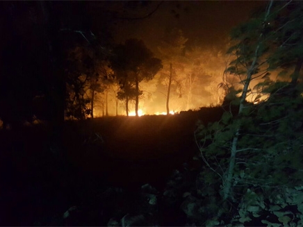 ישיבת הקבינט שמתכנס בדחיפות לאור הלהבות שאחזו את המדינה היא לא יותר מתרגיל בהסחת דעת הקהל ממחדל הכיבוי הגדול. הבטיחו לנו אחרי מחדל הכרמל מערך כבאות תקין, קיבלנו מדינה בוערת   בשנת 2010 פרצה בכרמל בעירה שבה נהרגו 44 בני אדם, 17 אלף פונו מבתיהם, וכ 25 אלף דונם נשרפו כליל כולל מיליוני עצים. חמישה ימים בערה האש זה היה אסון השריפה הכבד ביותר בתולדות מדינת ישראל. ביוני 2012 הגיש מבקר המדינה דו"ח בדיקה של נושאי השריפה בכרמל ושירותי הכבאות וההצלה בישראל.  כבר באותו היום נעצרו שישה נערים מעוספיה בחשד להצתה. שניים מהם הפכו לחשודים עיקריים במעשה. תחילה הואשמו בהריגה, אך מאוחר יותר הובהר שמדובר ברשלנות לגבי אש שפשטה מעישון נרגילה. ואולי גם סיגריה שנזרקה. כשנה לאחר מכן התיק נגדם נסגר מחוסר ראיות לגבי תפקידם המדויק של החשודים בהצתה, מכיוון שהוא נסמך על הודאתם שלא תאמה את ממצאי כיבוי האש לגבי מקור השריפה, או הוטתה בידי גורמים שונים. בית המשפט קבע עם זאת שהוברר כי לא הייתה הצתה.   לא ברור מדוע צריך לכנס דווקא את הקבינט לצורך דיון במצב. וועידת שרעם רלוונטית שכוללת את ראש הממשלה, שר הביטחון ושר הפנים ואנשי מקצוע אמורה לדון באורח ממלכתי מקצועי בשריפות. כאשר מכנסים קבינט שדיוניו ׳סודיים׳ עולה מן ההחלטה ריח לא נעים של התגוננות בפני אויב מחייב היערכות והתגייסות לאומית.  יתכן בהחלט שמדובר בהצתות לאומניות, אבל קבינט אמור להיות מכונס ע מנת להחליט רק לאחר שיש בידי משטרה ושב״כ הוכחות של ממש. עד אז יש כאן כוונה פוליטית להסטות את האש שאמורה להיות מופנית כלפי תפקוד הממשלה, בדיקת מסקנות המבקר מ 2012 וכו׳ – לעבר האוכלוסייה הערבית בבחינת שעיר לעזאזל.