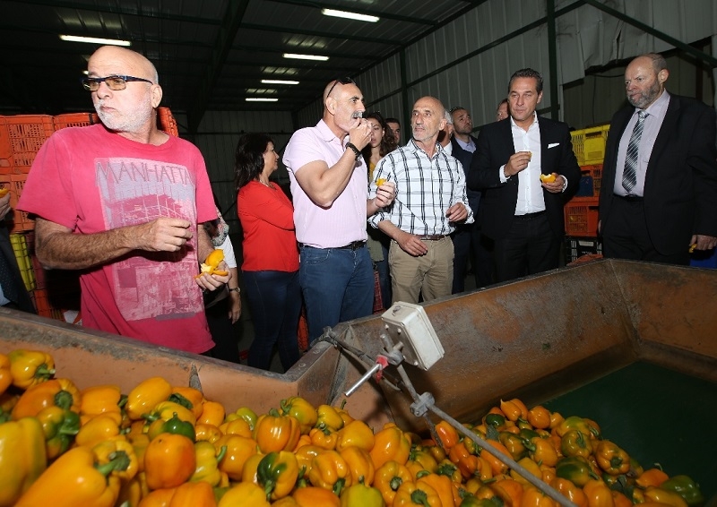 נציגי הפרלמנט האירופי בבקעת הירדן. צילום: מירי צחי