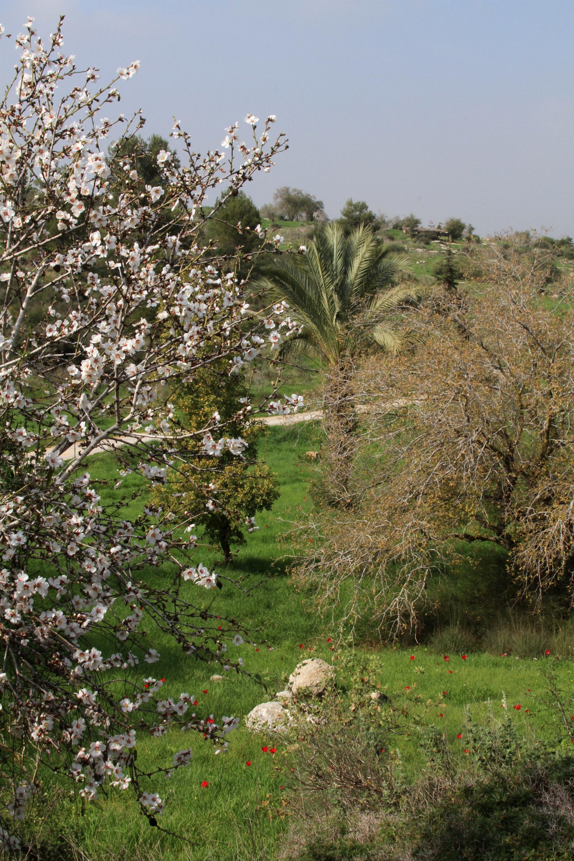 פארק נאות קדומים, פארק ענק עם מגוון עצום של פרחים, עצים וטבע פראי