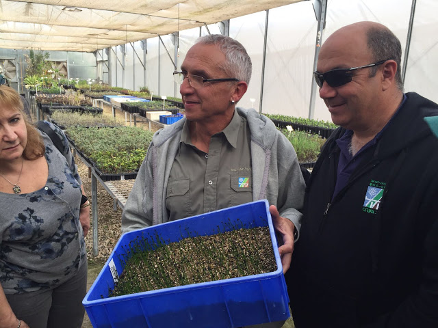 בתמונה: דני בן דויד מנהל נגב מערבי בקק"ל ופבלו צ'רקסקי מנהל המשתלה בגילת