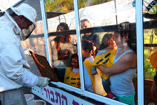 מבקרים במצפה הדבורים דבורת התבור - באדיבות מכוורת דבורת התבור