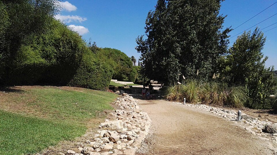 שביל מטופח במדשאות אתר מי קדם בפארק אלונה, נקודת הפתיחה של המסלול