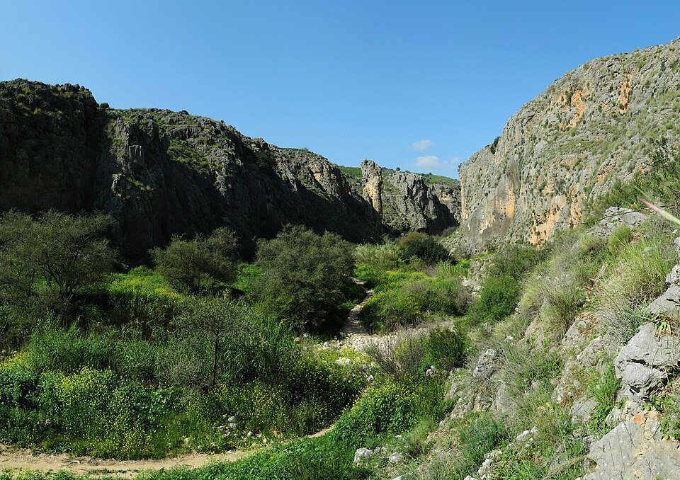 מצוקי נחל עמוד והערוץ הירוק שבתחתיתם