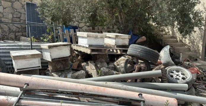 חלק מהכוורות שנגנבו ואותרו באזור יער מגידו | צילום: דוברות משטרת ישראל