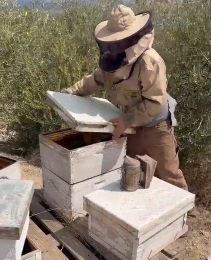 הכוורות שנתפסו הועברו לידי המועצה להאבקה ודבש. צילום: דוברות משטרת ישראל