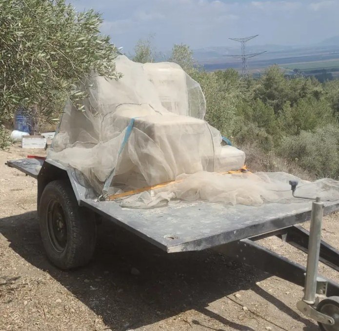 מתוך הכוורות שאותרו בחקירת ימ"ר מג"ב חוף. צילום: דוברות משטרת ישראל