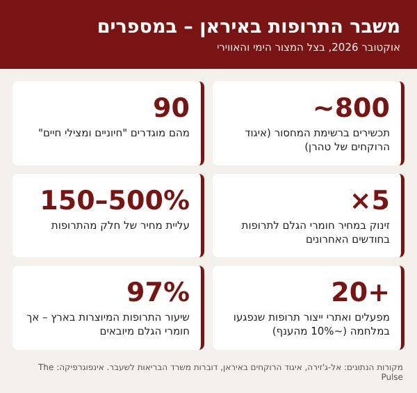 אינפוגרפיקה: משבר התרופות באיראן במספרים – עיבוד נתונים: The Pulse, על סמך אל-ג'זירה ואיגוד הרוקחים באיראן | צילום: The Pulse