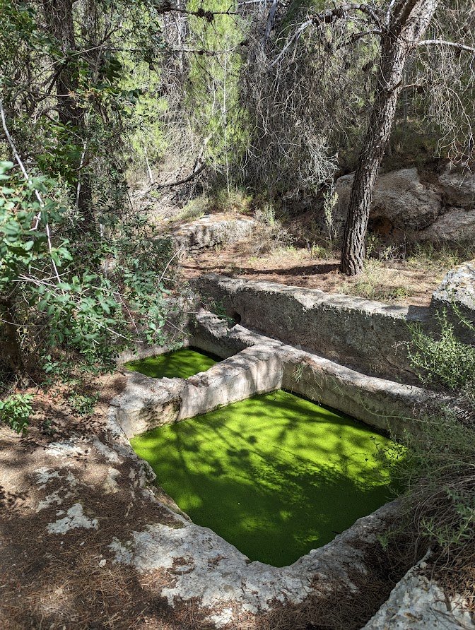 גת עתיקה חצובה בסלע באזור ירושלים: משטח דריכה ובור איסוף