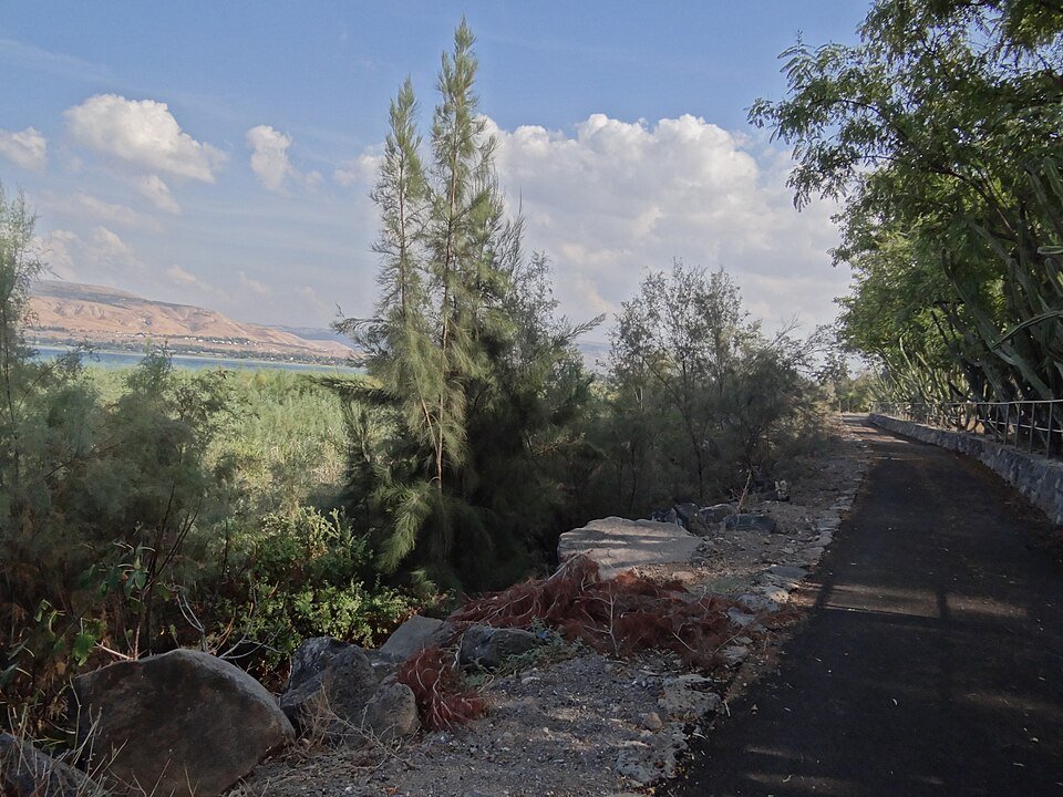 מקטע משביל סובב כנרת העובר בין הצומח לאורך החוף, עם ההרים מעבר לאגם