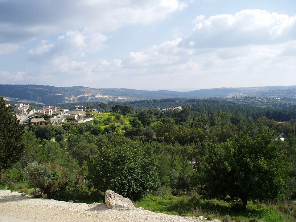 גבעות מיוערות באזור יער אשתאול במבט מלמעלה (צילום: ויקישיתוף, נחלת הכלל)