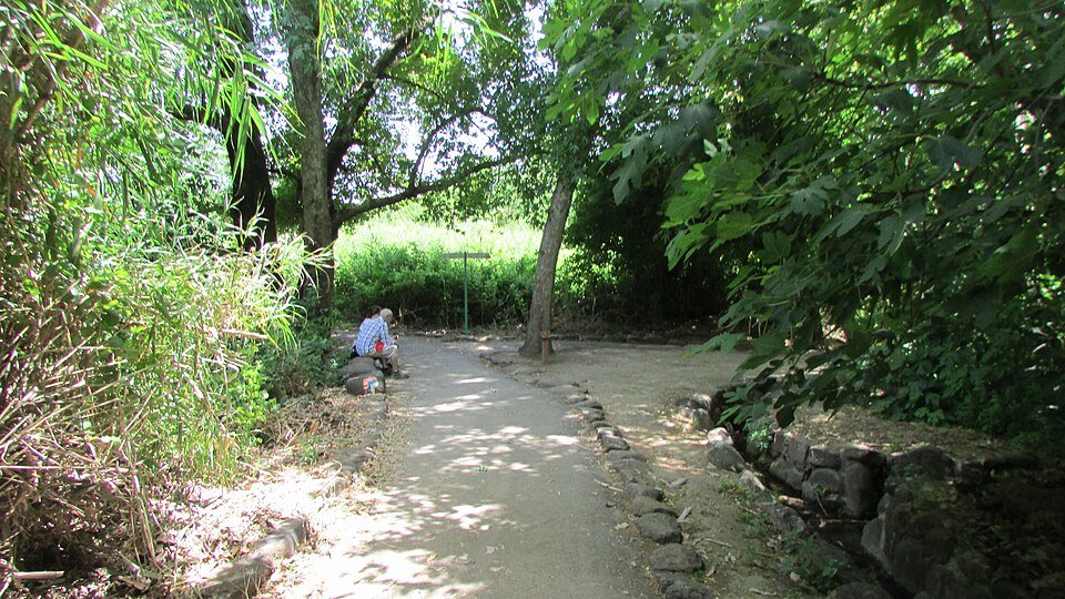 שמורת נחל שניר בגליל העליון, שבה עובר שביל ישראל לצד המים (צילום: יעקב, ויקישיתוף, CC BY-SA 4.0)
