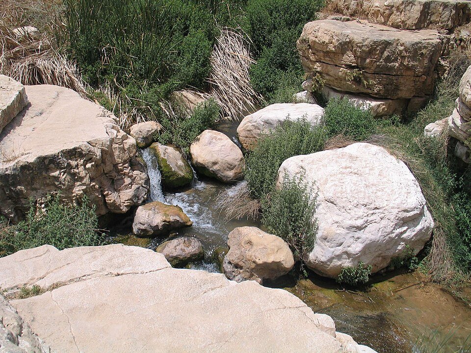 פלג מים זורם בין סלעים וצמחייה ירוקה בנחל פרת