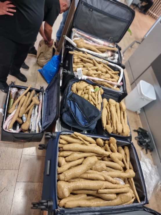 המזוודות הפתוחות ובתוכן שתילי הבננה שנתפסו. צילום: משרד החקלאות וביטחון המזון