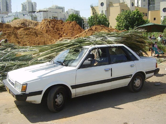 שוק סכך בבני ברק. אילוסטרציה | צילום: Dr. Avishai Teicher / Wikimedia Commons