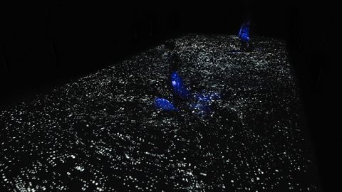 teamLab, Body of Waves, 2026, מתוך הסדרה Soft Black Hole – Your Body Becomes a Space that Influences Another Body, 2016. צולם במרחב אמיתי, ללא AI או CGI. | צילום: © teamLab