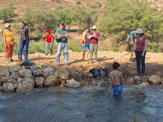 משפחות נהנות ממימי נחל צלמון | צילום: שולמית נוסבוים
