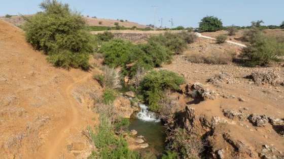 ערוץ נחל צלמון לאחר השבת המים | צילום: רחפן אבי אריש, לרשות ניקוז ונחלים כינרת