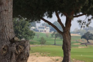 Caesarea_through_the_trees