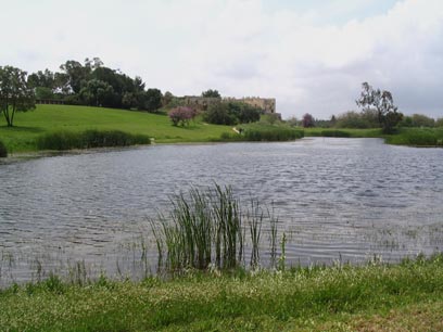 yarkon