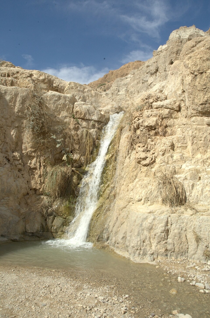 מפל בשמורת עין גדי