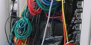 Digital Reef חתמה על הסכם להגנה על יערות האמזונס לקיזוז מרכזי נתונים חוות שרתים. אילוסטרציה | צילום: ProjectManhattan / Wikimedia Commons