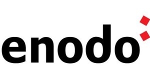 מחקר: שכבת נתוני ה-AI של Denodo מניבה החזר השקעה של 290% הלוגו של Denodo | צילום: יח
