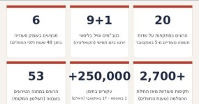 "המרחב האווירי של סעודיה אינו בטוח": החות'ים תוקפים בעומק אינפוגרפיקה: השבוע במספרים – החות'ים מול סעודיה | צילום: The Pulse