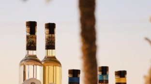 מזקקת הערבה תציג משקאות מתמרי מג'הול בפסטיבל "תוצרת הארץ" במוזיאון ארצות המקרא בירושלים מימין לשמאל: או-דה-וי, ברנדי תמרים, ג'ין, ליקריץ וערק של מזקקת הערבה. צילום: אורן אלחנתי