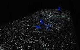 מיצג חדש ב-teamLab Planets טוקיו: נכנסים אל תוך פסל רך עם כל הגוף teamLab, Body of Waves, 2026, מתוך הסדרה Soft Black Hole – Your Body Becomes a Space that Influences Another Body, 2016. צולם במרחב אמיתי, ללא AI או CGI. | צילום: © teamLab