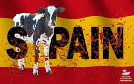 פעילי זכויות בעלי החיים יפגינו מול שגרירות ספרד: "להפסיק את המשלוחים החיים" מתוך דף האירוע בפייסבוק