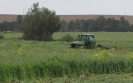 מטה יהודה: רשות מקרקעי ישראל פינתה מטע עצי רימון בעקבות פסק דין אילוסטרציה - עיבודים בלתי חוקיים (צילום: רשות מקרקעי ישראל)