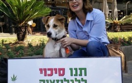 היסטוריה? הרצאה למען לגליזציה בפסטיבל במימון עיריית ירושלים ונקו, סטארטאפ ישראלי לקידום לגליזציה של קנאביס בישראל