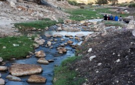 מה התחדש בנחל ציפורי? נחל ציפורי (צילום : עמיר חיל )