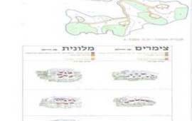 רשות מקרקעי ישראל ומשרד התיירות פרסמו מכרז להקמת שני מתחמי תיירות מדברית ל-48 חדרים באגן נחל השועלים בדרום בתחום ההרחבה של העיר ירוחם קרדיט : רשות מקרקעי ישראל