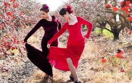 פסטיבל פלמנקו בקניון עופר לב חדרה - הכניסה חופשית צילום: ענבל לוי יהודה