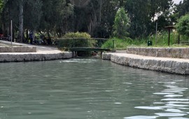 לכבוד יום העצמאות: מקומות ייחודיים לפיקניק עם המשפחה צילום: דוד וערן גל אור