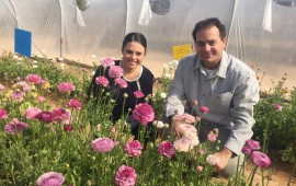 זו לא הזייה - השרה איילת שקד טעמה את הפטריה הישראלית החדשה שרת המשפטים איילת שקד, שף הראל זכאים וראש מועצה אזורית ערבה אייל בלום עם פטריית טראמפ. צילום: מו