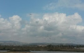 בעקבות דרישת המשרד להגנת הסביבה: הופסק מפגע הריח בעתלית בריכות המלח בעתלית. צילום - המשרד להגנת הסביבה