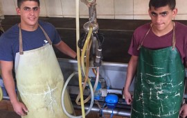 בגרויות 2017: בגרות בחליבה ברפת של המורה הקשר עם הטבע, החיות והסביבה מובילים לחינוך לערכים