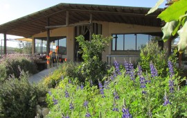 חגיגת שבועות בכפר האמנות האקולוגי "ורטיגו"- 31-30 במאי 2017 בקיבוץ נתיב הל"ה צילום יח