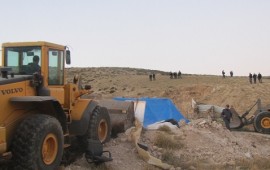 מבצע אכיפה בנגב: רמ''י פינתה עדר כבשים, הפולש נתפס כאשר עקב אחריהן בדרך להסגר וטרינרי
