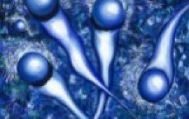 ציורי המעגל האנושי בתערוכה חדשה Genesis_small