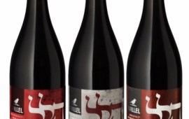 יין לקידוש - גרסת הגורמה hilel_wines