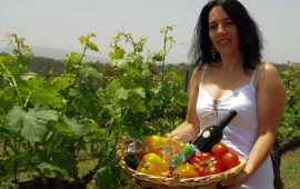 גבינות ויין: המדריך להתאמה מושלמת