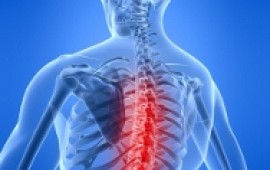 כאבי גב ורפואה משלימה: כל שיטות הטיפול/ ד"ר ליאור סילוורה