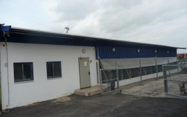 אשקלון: מתנדבים יסייעו לאימוץ כלבים בכלבייה העירונית