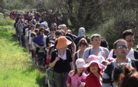 אלפים הגיעו למחות נגד הפגיעה ביער קדימה