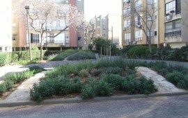 בת ים: ערוגות תבלינים עירוניות יעמדו לרשות התושבים
